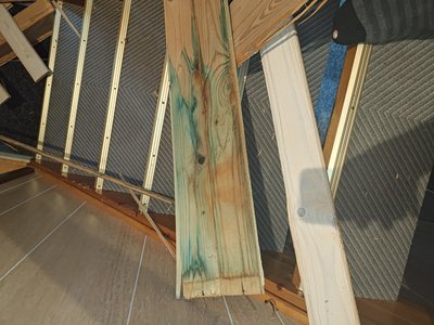 Exposed timber structure in the inspection area