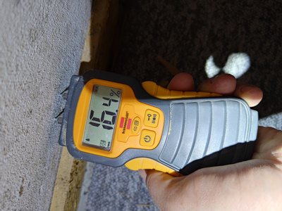 Documented moisture measurement at the inspection area