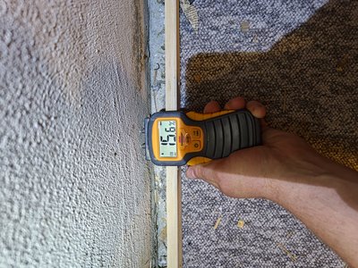 Moisture meter reading at the inspection area