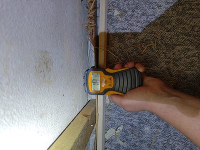 Moisture measurement — meter held against the inspection area