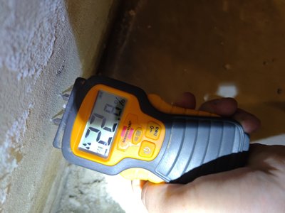 Moisture meter display showing value at the inspection area