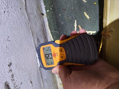 Moisture measurement taken in the basement