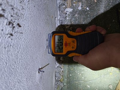 Moisture reading taken at the basement