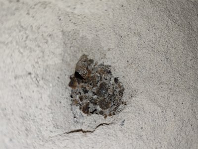 Foundation crack #2 — clear structural damage