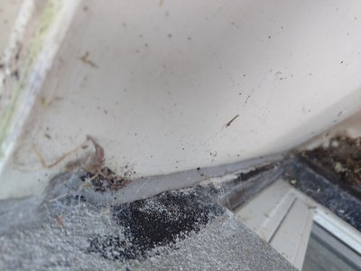 Bathroom floor with damage (27.09.2025 kl. 10:47)