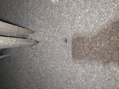 Documentation associated with the inspection