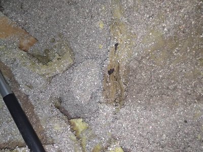 Drain pipe visible in the floor