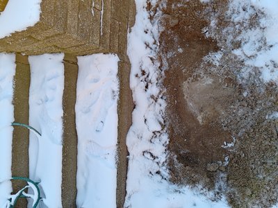 Inspection well — documents buried waste under the property