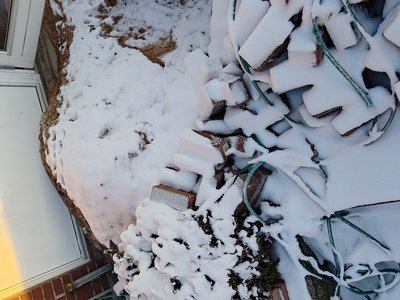 Close-up of inspection well with visible waste