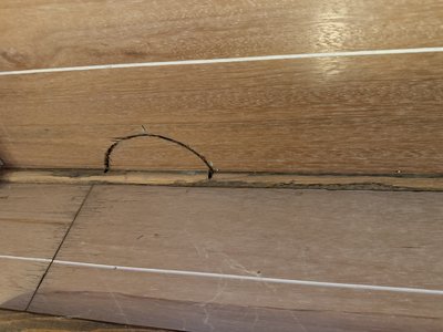 Floor crack in basement — documents the extent of damage