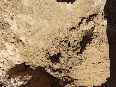 Udendørs terræn ved ejendommen — synlig sætningsskade i fundamentområdet