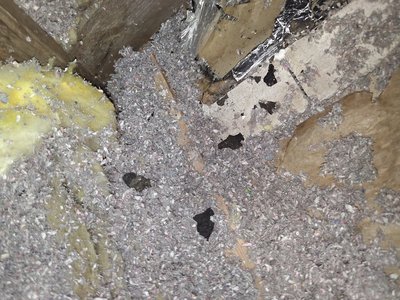 Byggeaffald og fjernet materiale fra beskadiget konstruktion