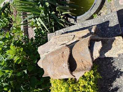 Tilstandsdokumentation — inspektionsområdet (bilag 5.2)